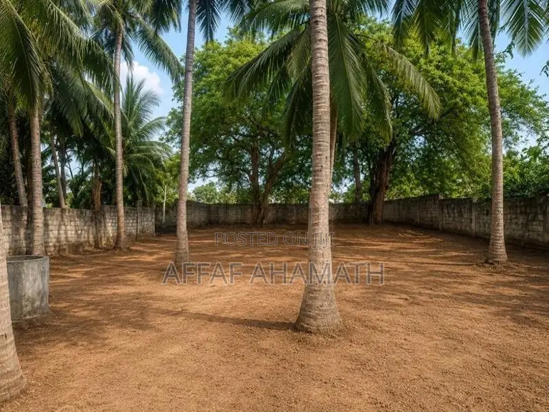 Arugambay Land For Sale Or Lease