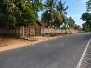Arugambay Land For Sale Or Lease
