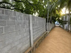 Arugambay Land For Sale Or Lease