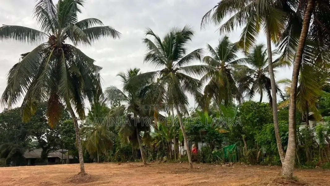 148 Perches Prime Commercial Land for Lease – Piliyandala THS031L