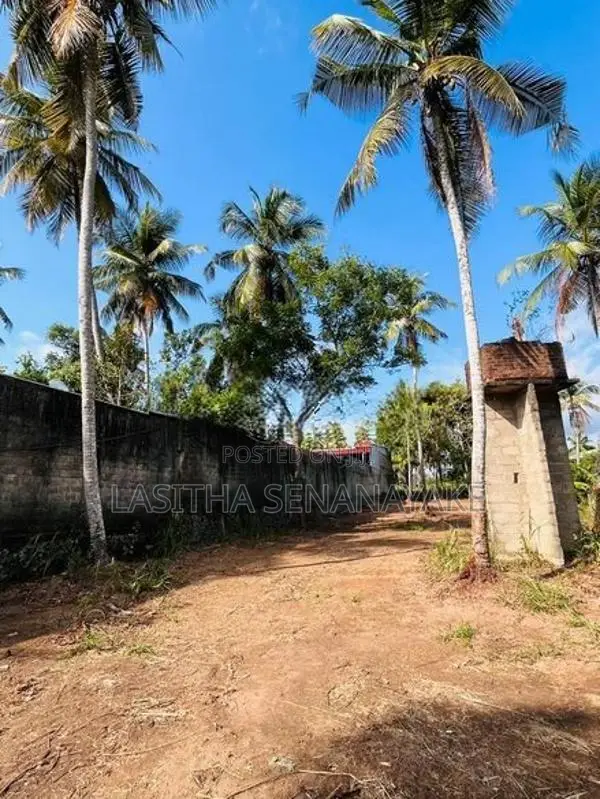 Land Of Sale In Minuwangoda