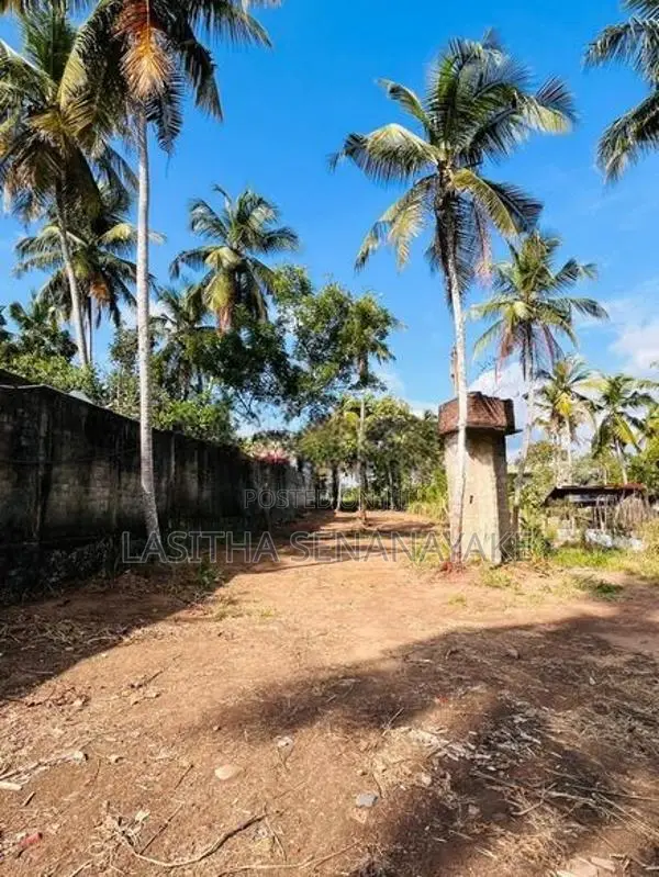 Land Of Sale In Minuwangoda