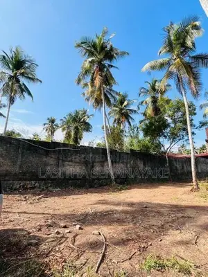 Land Of Sale In Minuwangoda