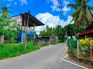 Land for Sale in Ranala / Kk 16140