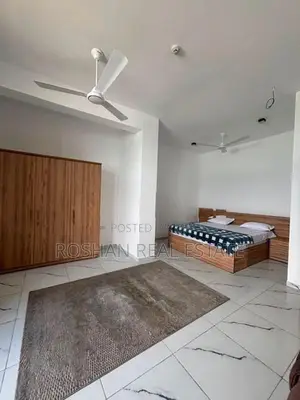 FULLY FURNISHED SUPER LUXURIOUS PENTHOUSE FOR RENT COLOMBO 3 CH2870