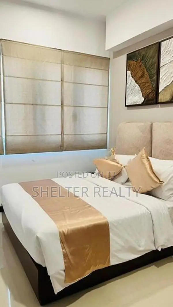 Fully Furnished apartment for rent in Trizen - Colombo 2