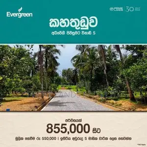 පොල් වගාවක් සහිත හොඳම ඉඩම
