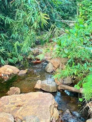Commercial land for sale in Awissawella