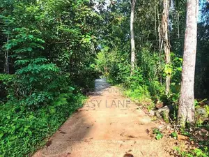 Commercial land for sale in Awissawella
