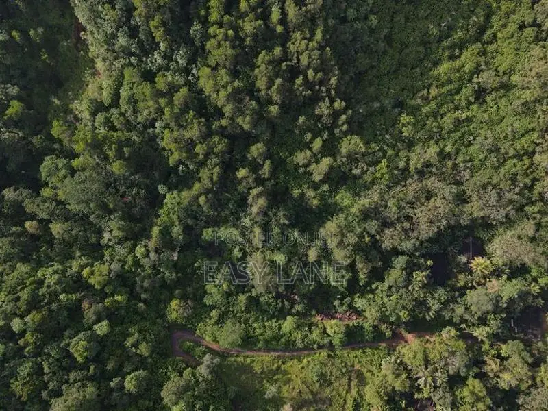 Commercial land for sale in Awissawella