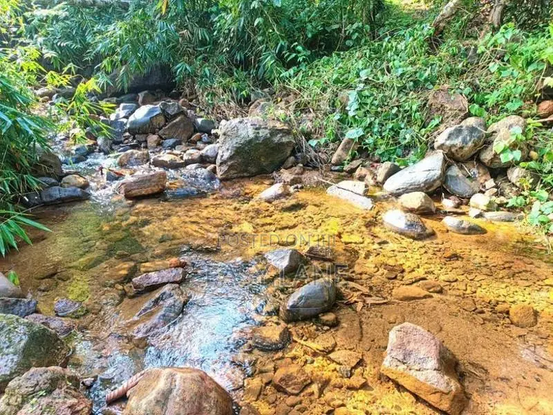 Commercial land for sale in Awissawella