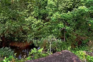 Land for Sale Unawatuna