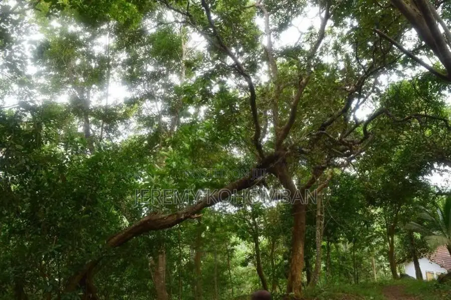 Land for Sale Unawatuna