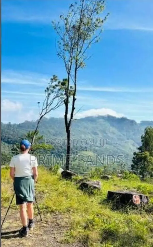 View point land for sale Nuwara Eliya Road