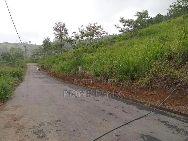 View point land for sale Nuwara Eliya Road