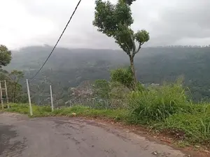 View point land for sale pundaluoya