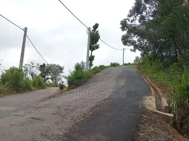 View point land for sale pundaluoya road