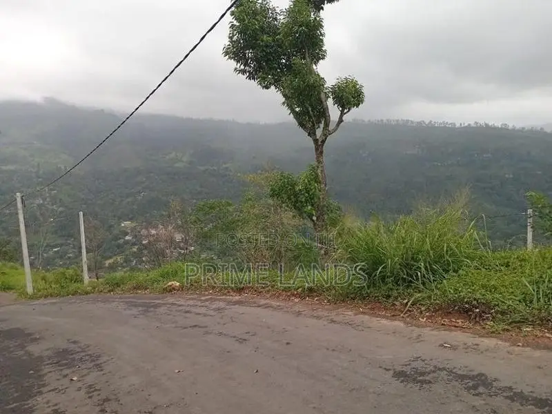 View point land for sale pundaluoya road