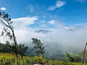 View point land Holiday bungalow Deram