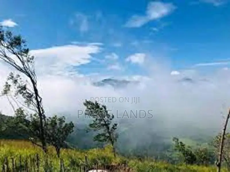 View point land Holiday bungalow Deram