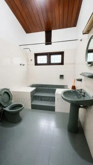 SUPER LUXURIOUS FURNITURE HOUSE FOR RENT COLOMBO 06 NI2877
