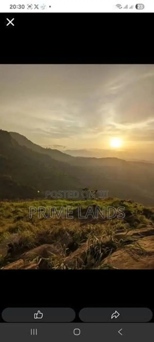Forest view point your Deram Holiday Home