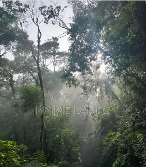 Forest view point your Deram Holiday Home