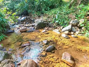 Awissawella සුන්දර දිය පාරකට මායිම් අක්කර 1 වටිනා ඉඩමක් /SA 12308