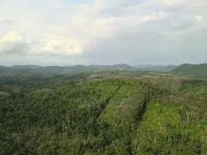 Awissawella සුන්දර දිය පාරකට මායිම් අක්කර 1 වටිනා ඉඩමක් /SA 12308