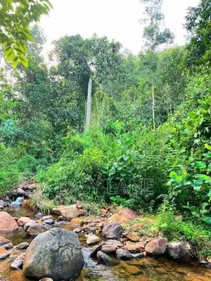 Awissawella සුන්දර දිය පාරකට මායිම් අක්කර 1 වටිනා ඉඩමක් /SA 12308