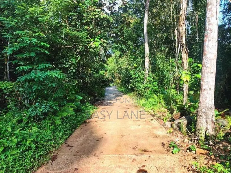 Awissawella සුන්දර දිය පාරකට මායිම් අක්කර 1 වටිනා ඉඩමක් /SA 12308