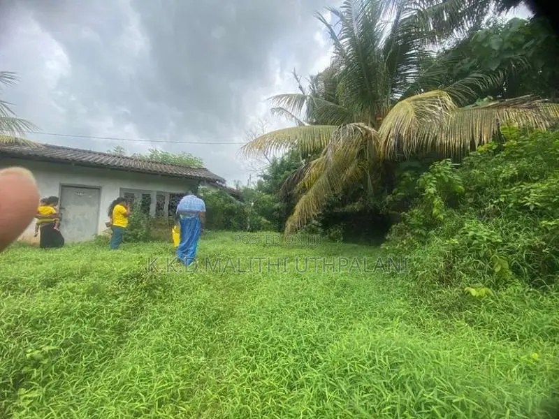 120Perch For Sale Kaburupitiya Road Hakmana