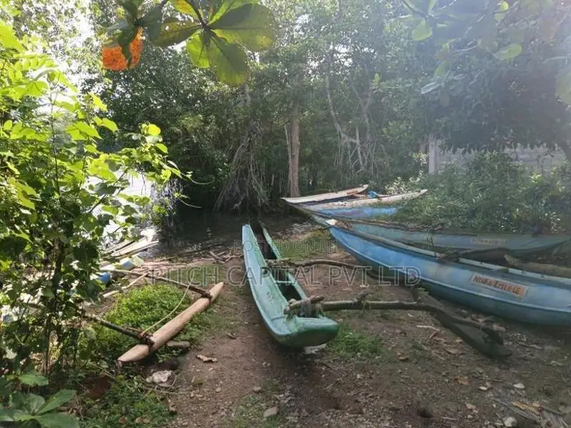 Valuable Land for Sale in Koggala