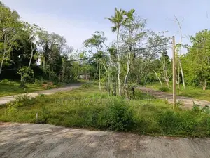 Valuable Land for Sale in Koggala