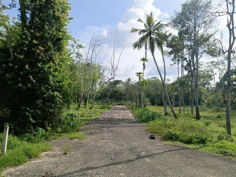 Valuable Land for Sale in Koggala