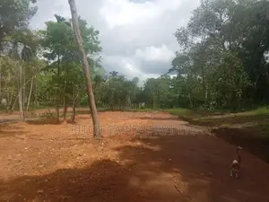 Valuable Land for Sale in Koggala