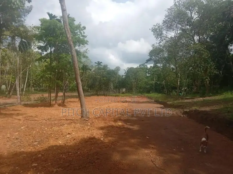 Valuable Land for Sale in Koggala