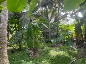 46 Perch Land For Sale Thalaraba Mathara