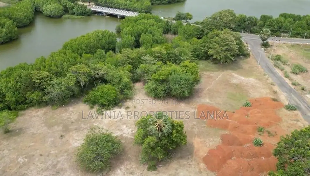 19-Acre Prime Land for Sale – Pottuvil -THE060L