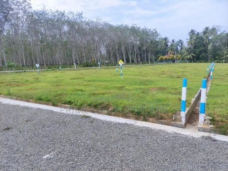 මිල්ලනිය කොළමැදිරිය පාරට මුහුණලා හොඳම බිම්කොටස්