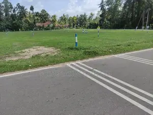 මිල්ලනිය කොළමැදිරිය පාරට මුහුණලා හොඳම බිම්කොටස්