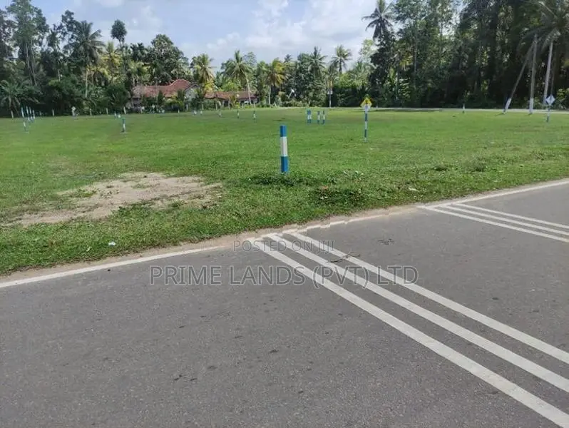 මිල්ලනිය කොළමැදිරිය පාරට මුහුණලා හොඳම බිම්කොටස්