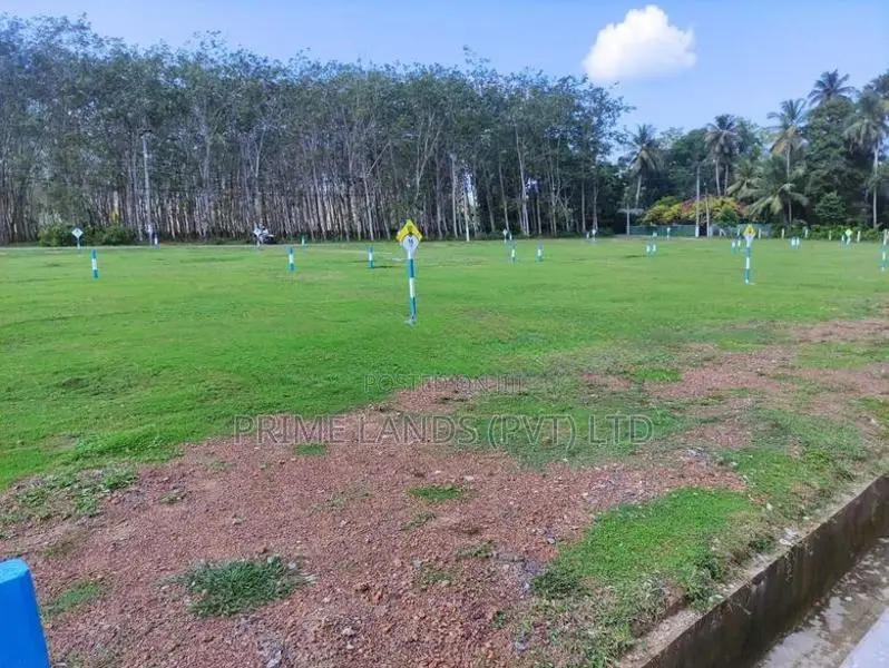 මිල්ලනිය පොල්වත්ත පාරට මුහුණලා