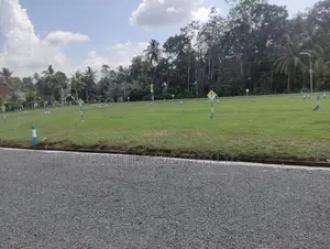 මිල්ලනිය පොල්වත්ත පාරට මුහුණලා