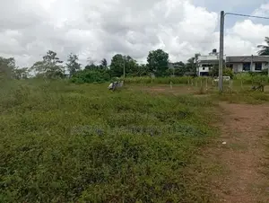 අධිවේගී මාර්ගය අසල මනස්කාන්ත වටපිටාවක් සහිත අගනා බිම්කොටස් කිහිපයක්