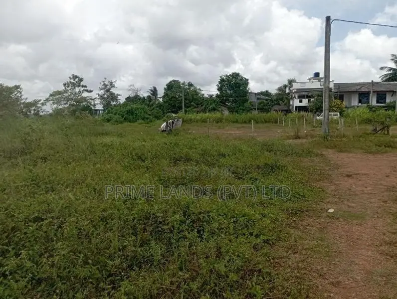අධිවේගී මාර්ගය අසල මනස්කාන්ත වටපිටාවක් සහිත අගනා බිම්කොටස් කිහිපයක්