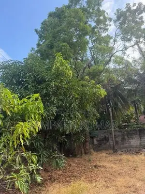 Land for Sale Madampe Town