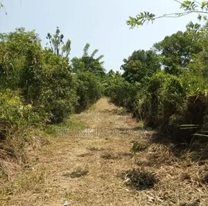 Dodangoda Land with Villas For Sale (NK11674)
