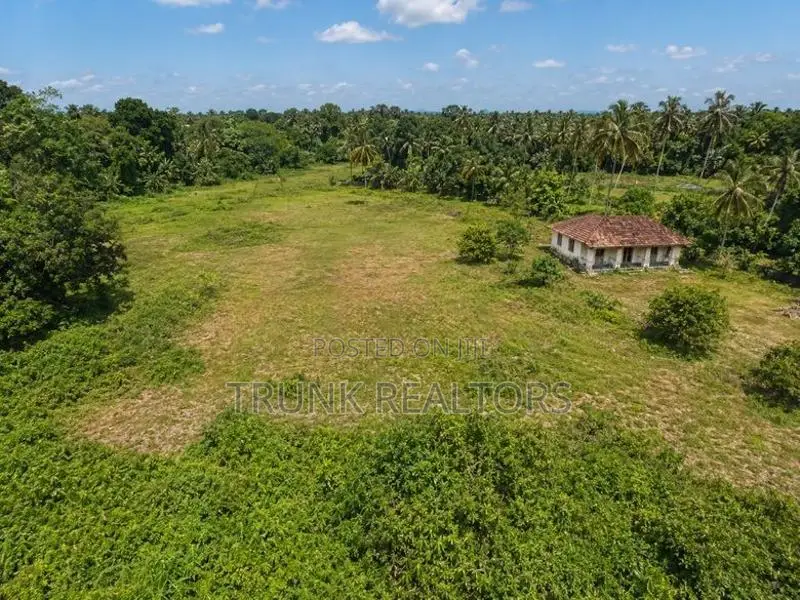 Negombo Land with House For Sale (NK11676)