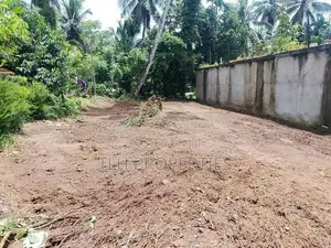 Prime 10-Perch Land for Sale – Watareka, Somarathna Mawatha
